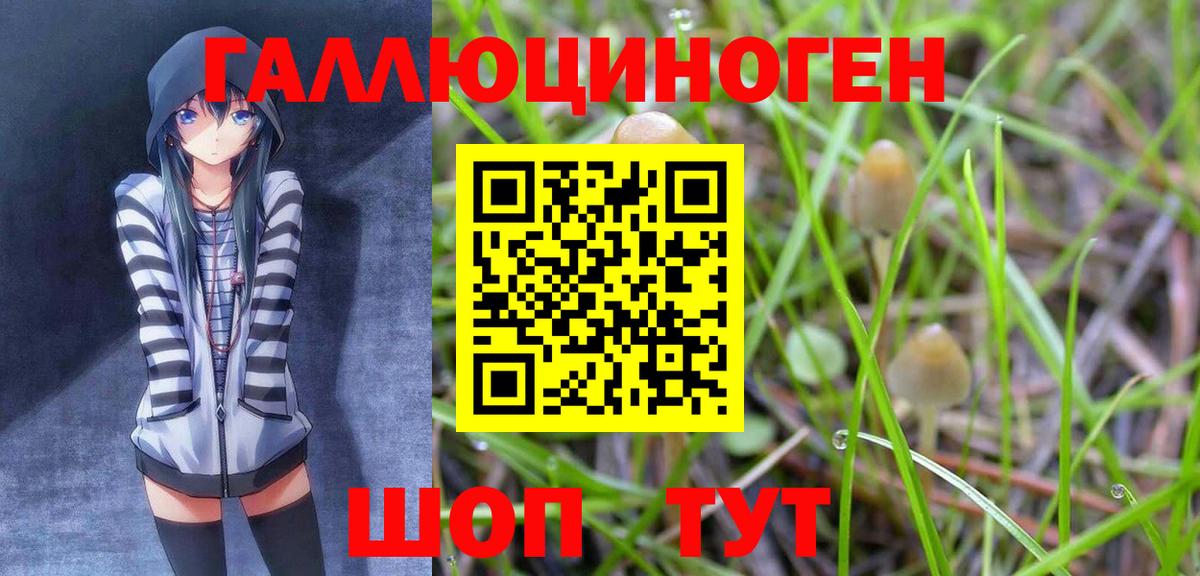 Псилоцибиновые грибы ЛСД  Вход с VPN  Дзержинский 